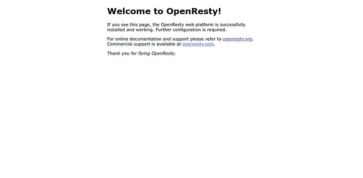 OpenResty Welcome Screenshot